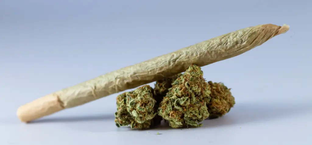 Weed-Out-Of-Your-System